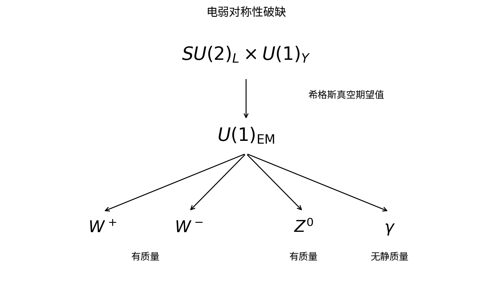 电弱对称性破缺后的物理场。